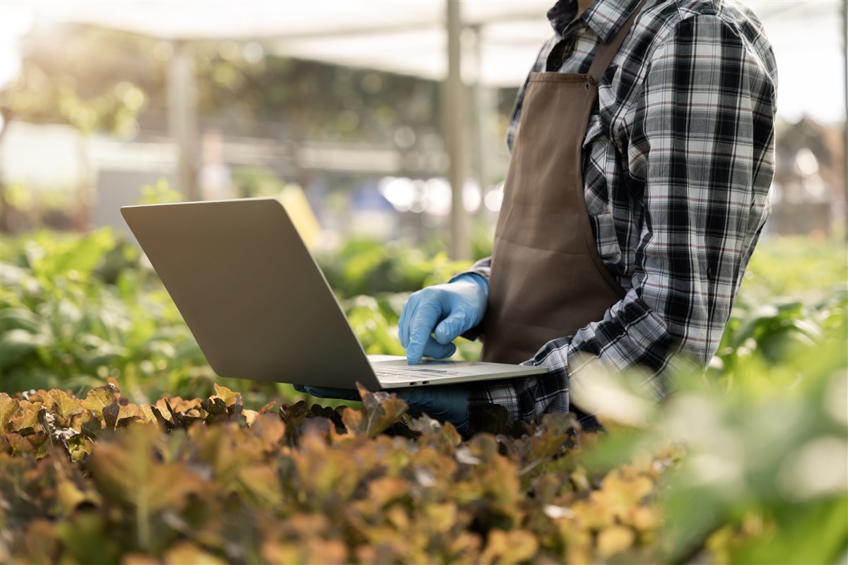 Optimiser les rendements agricoles