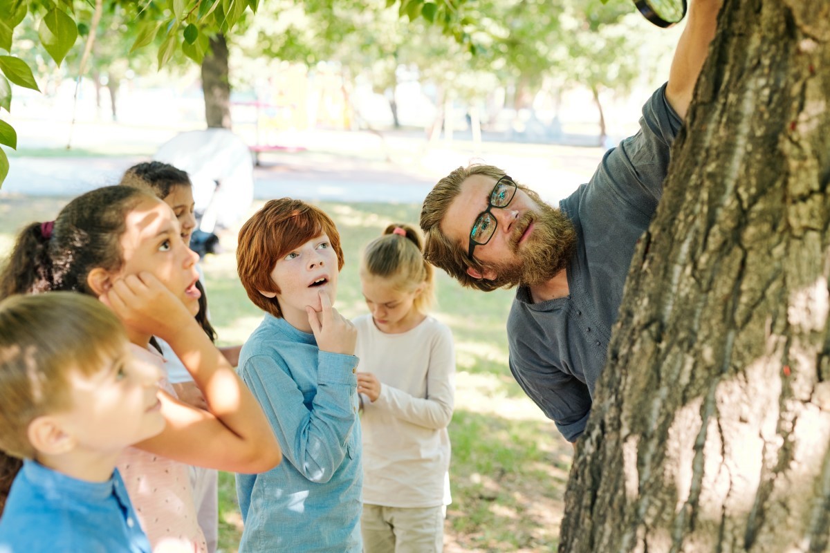 6 essences d'arbres à écorce