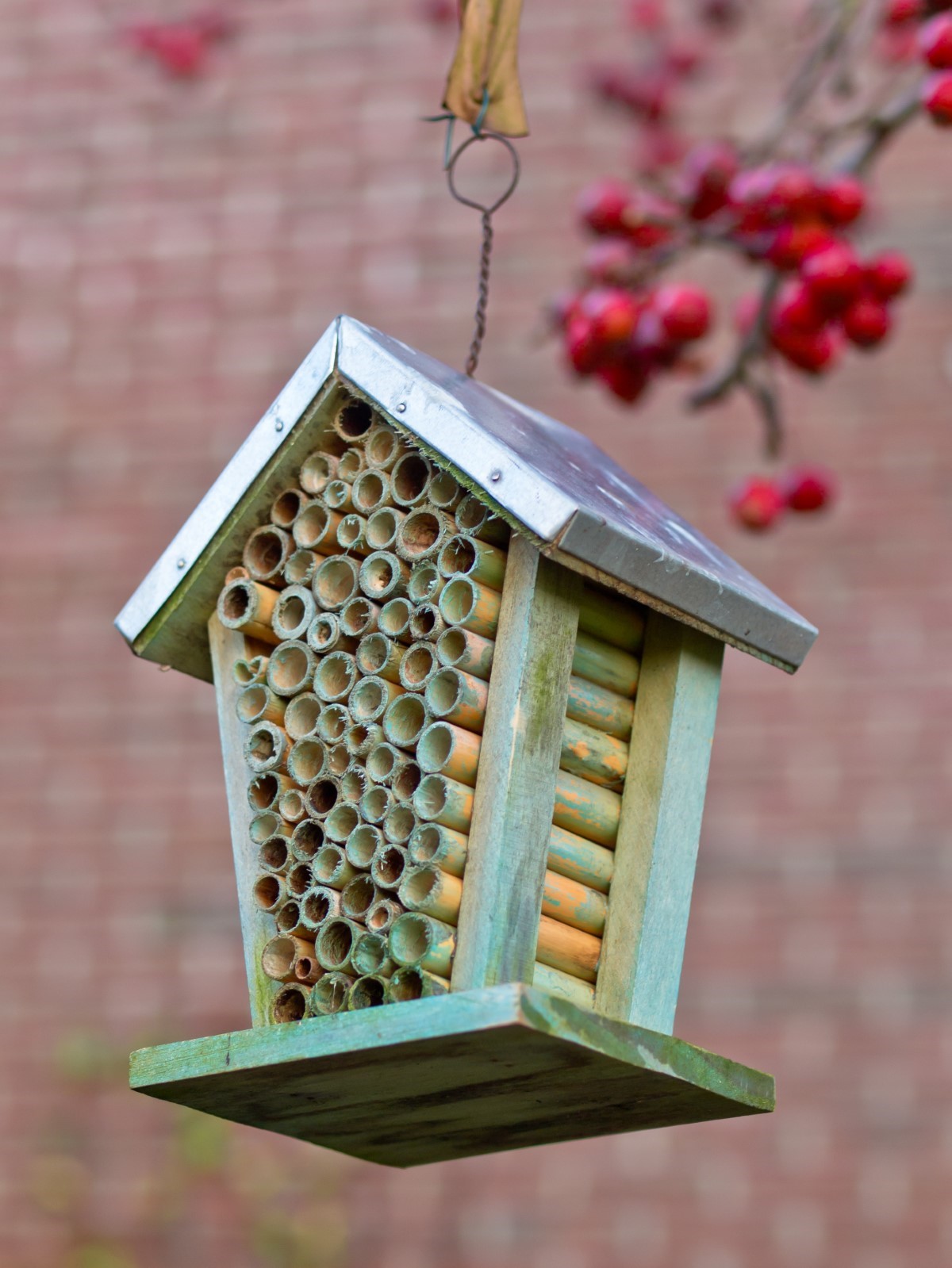 Création d'un hôtel à insectes