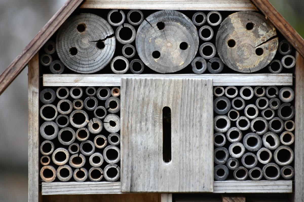 hôtel à insectes maison